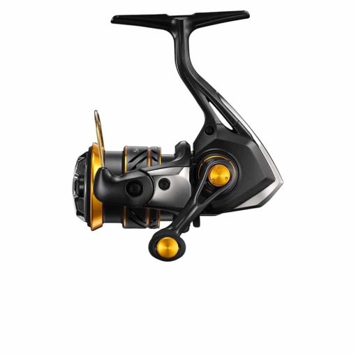 21 SOARE XR - Image 2