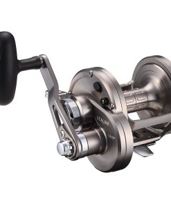 24 SEALINE LD40P