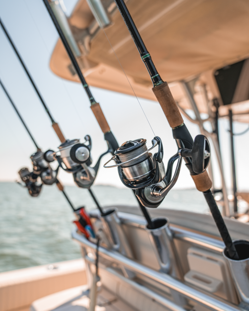 BLACKLINE INSHORE - Image 2