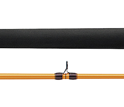 FT BOAT & SURF RODS