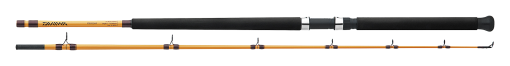 FT BOAT & SURF RODS