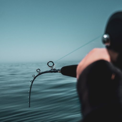 HARRIER X JIGGING RODS - Image 2