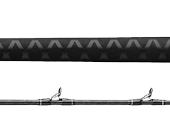 PROTEUS RODS