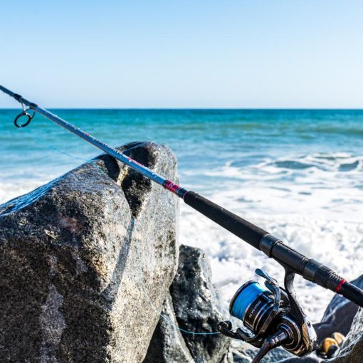 TEAM DAIWA SURF RODS - Image 2