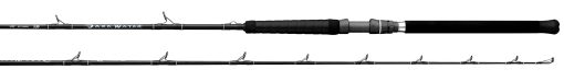 2025 DARKWATER SALTWATER RODS - Image 2