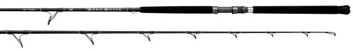 2025 DARKWATER SALTWATER RODS
