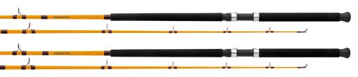 FT BOAT & SURF RODS - Image 2