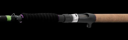 2025 PROREX STEIN - Image 4