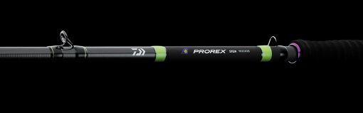 2025 PROREX STEIN - Image 3