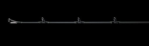 2025 PROREX STEIN - Image 2